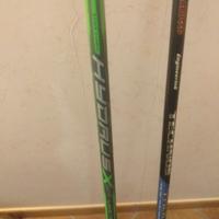 tremarelle  trota/laghetto