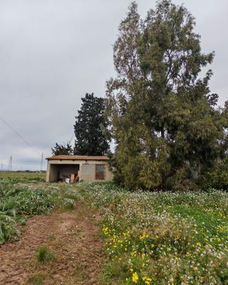 Deposito su lotto agricolo