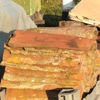 50 Coppi copri como lunghezza 55 cm