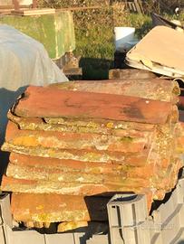 50 Coppi copri como lunghezza 55 cm