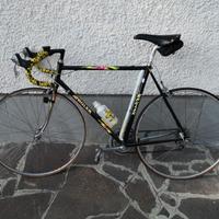 bici da corsa Rauler