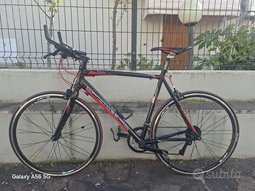 Bicicletta Adriatica ibrida