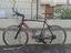 Immagine 1