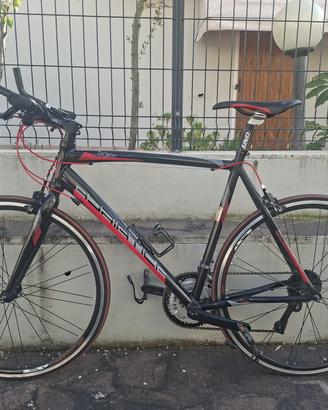 Bicicletta Adriatica ibrida