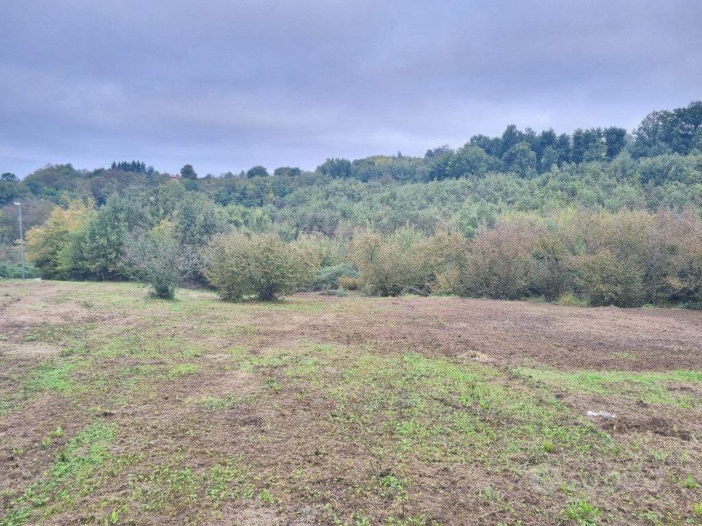 Terreno di mq.10.300 con 2 pozzi e 2 fronti strada - Vista 5