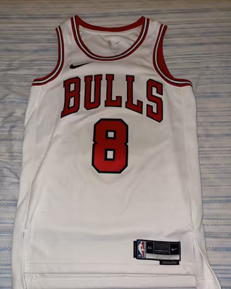 Canotta chicago bulls lavine