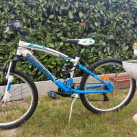 MTB 24 Esperia Hornet