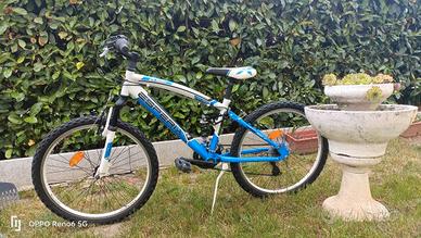 MTB 24 Esperia Hornet