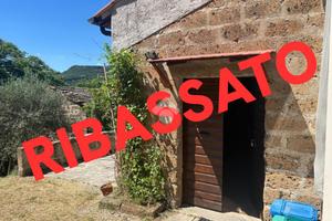 RUSTICO A BOMARZO