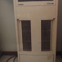 Condizionatore portatile Delchi + deumidificatore