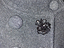 Immagine 6