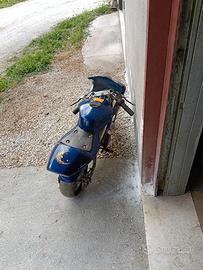 Mini moto