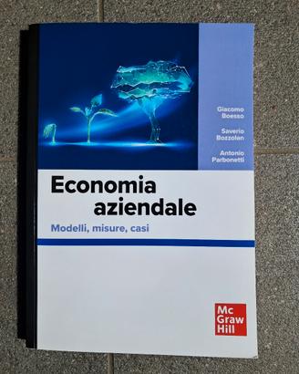 Economia Aziendale