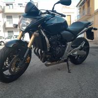 honda hornet  my 07 tenuto maniacalmente 