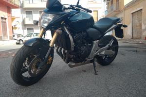 honda hornet  my 07 tenuto maniacalmente 