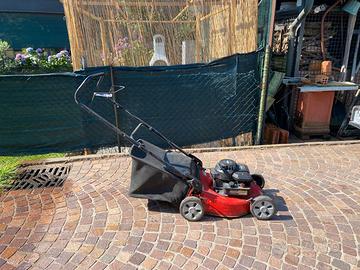 RASAERBA CASTELGARDEN CS 434