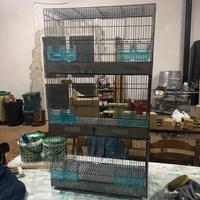 Gabbie da cova (55 centimetri)