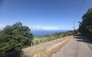 TERRENO AGRICOLO TERRAZZATO ITALA LOCALITA' CROCE