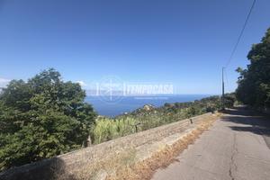 TERRENO AGRICOLO TERRAZZATO ITALA LOCALITA' CROCE