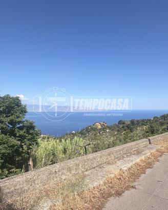 TERRENO AGRICOLO TERRAZZATO ITALA LOCALITA' CROCE