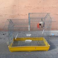 Gabbia per uccellini