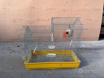 Gabbia per uccellini