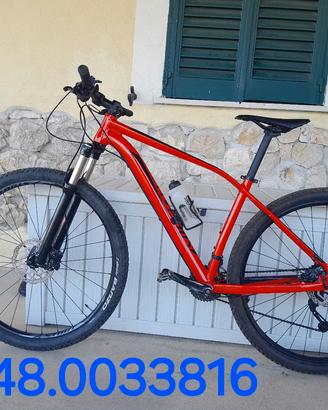specialized taglia L 29 