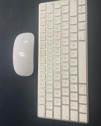 Magin trackboard 2 e magic mouse 2