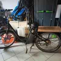 Bicicletta elettrica