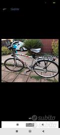 Bicicletta da passeggio 