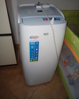 condizionatore portatile 