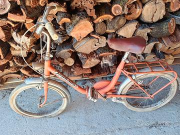 Bicicletta d'epoca 