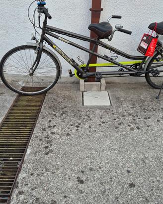 bicicletta tandem elettrica 