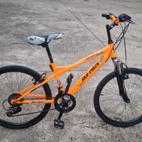 Stupenda bicicletta 24