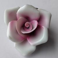 rosa porcellana Capodimonte