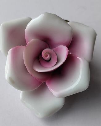 rosa porcellana Capodimonte