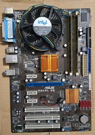 Scheda madre asus P5KPL-SE