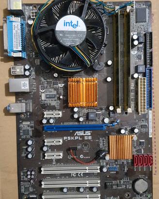 Scheda madre asus P5KPL-SE