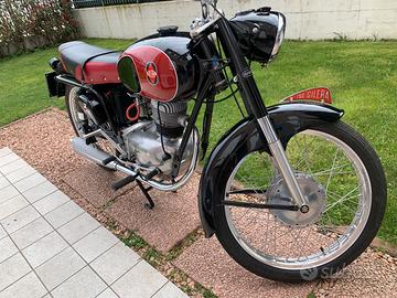 Gilera 150 sport , 1955 restaurata , da vetrina
