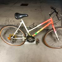 Bicicletta Bici Mtb mountain bike