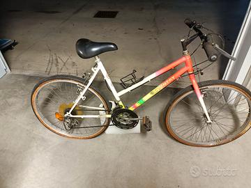 Bicicletta Bici Mtb mountain bike