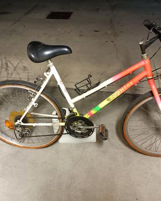 Bicicletta Bici Mtb mountain bike