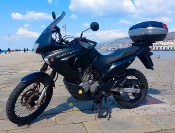 Honda Transalp 650 cc nera