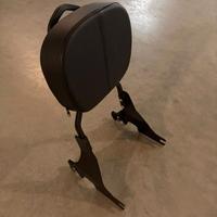 sissy bar sportster schienale