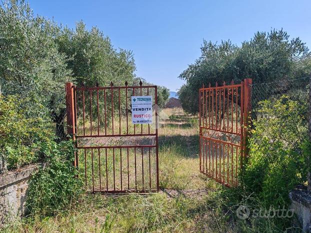 RUSTICO A GALLICANO NEL LAZIO