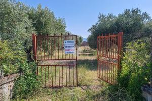 RUSTICO A GALLICANO NEL LAZIO