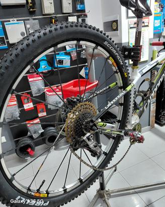 cannondale lefty factory racing