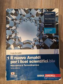 Il nuovo amaldi per i licei scientifici blu 