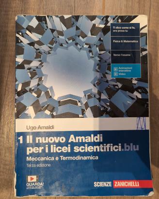Il nuovo amaldi per i licei scientifici blu 