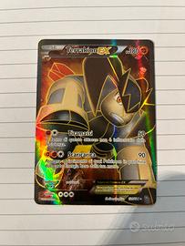 Carte Pokemon Terrakon